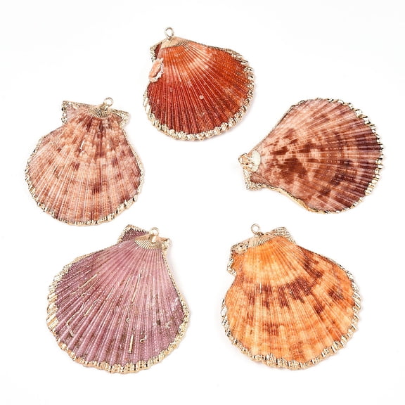 Electroplate Multicolor Sea Shell Pendants with Iron Findings Light golden Sienna 33~54x28~48x7~11mm Hole: 2mm