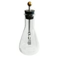 thumbnail image 1 of Flask, Electroscope- With Electroscope Assembly, Aluminum Leaves, Erlenmeyer Flask 250ml, 1 of 1