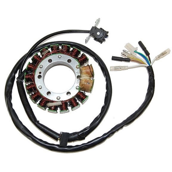 Electrosport ESG169 Electro Sport Stator - Esg169