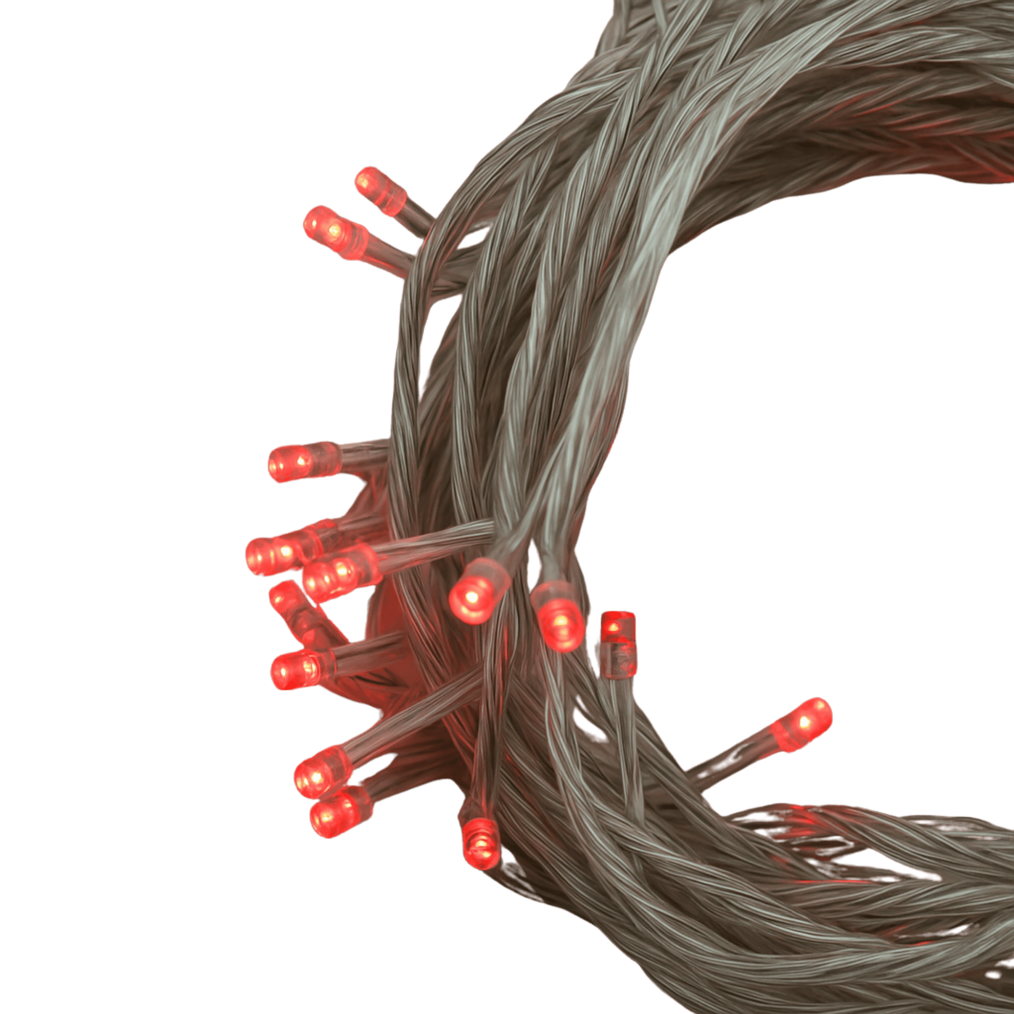 Elegani 100 LED Red String Lights 32ft Black Wire, 8 Lighting Modes, Indoor/Outdoor Plug-In Fairy Lights for Christmas, Parties, Bedroom, Patio & Holiday Decor-Green