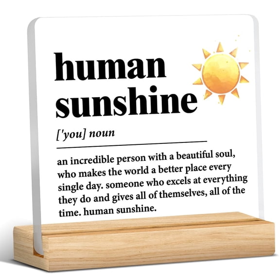 Elegant Acrylic Motivational Sign for Desk, Inspirational Gift for Women Men Boss Teacher, Office Home Decoration with Sunshine Quote, White