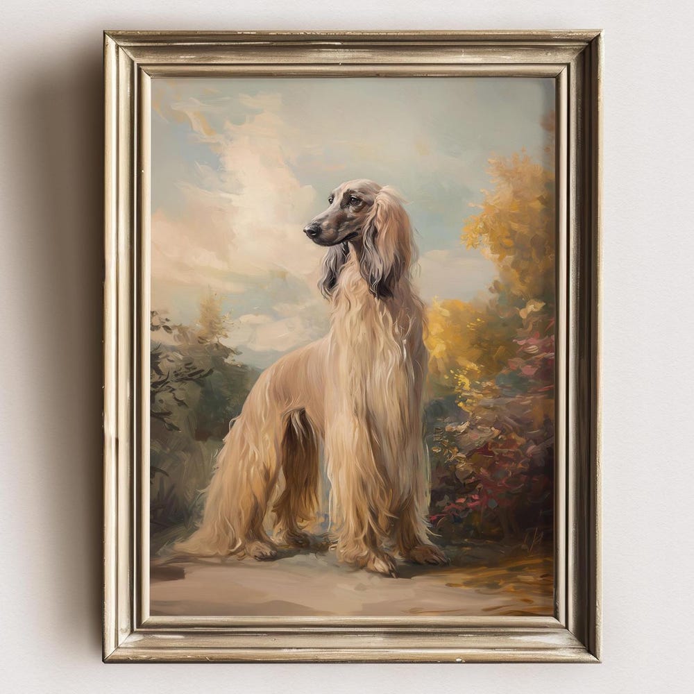 Photo inspiration: Visual Reference: Elegant Afghan Hound Dog Farmhouse Landscape Art Print