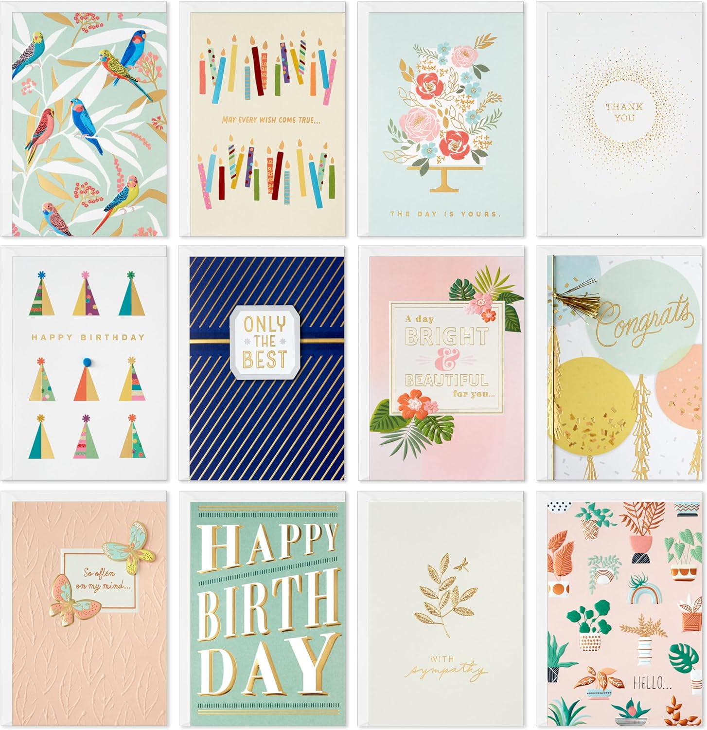 Elegant All-Occasion Card Assortment (12 Cards with Envelopes, Refill ...