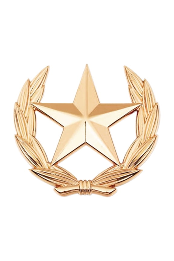 Elegant Alloy Wheat Spikes And Star Emblems Pin Decorative Brooch Wheat Star Brooch Pin For Jackets Bags Hats Accessories