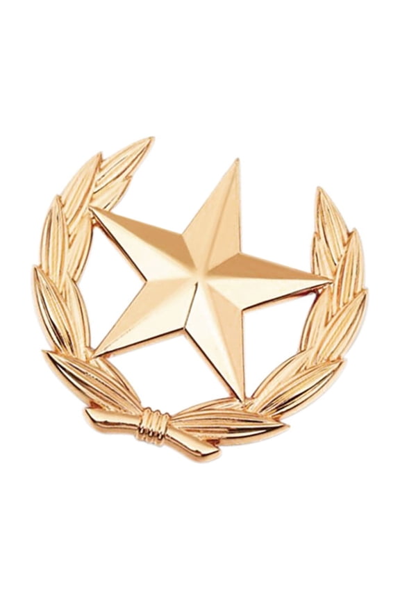 Elegant Alloy Wheat Spikes And Star Emblems Pin Decorative Brooch Wheat Star Brooch Pin For Jackets Bags Hats Accessories