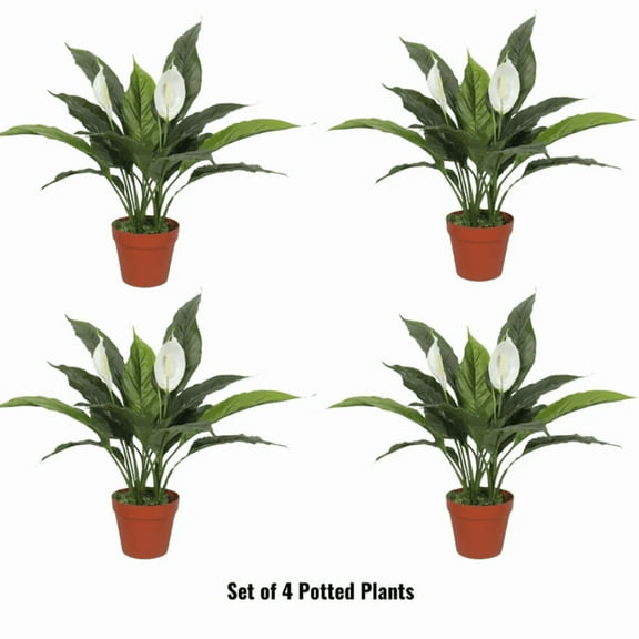 Elegant Artificial Peace Lily (Spathiphyllum) - 24-Inch Indoor Plant (Clearance)