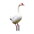 thumbnail image 1 of Elegant Big White Goose Garden Statue Acrylic Big White Goose Decoration Big Goose Garden Accessories Suitable For Big Goose Outdoor Garden Decoration Card Slot Home Decor, 1 of 6
