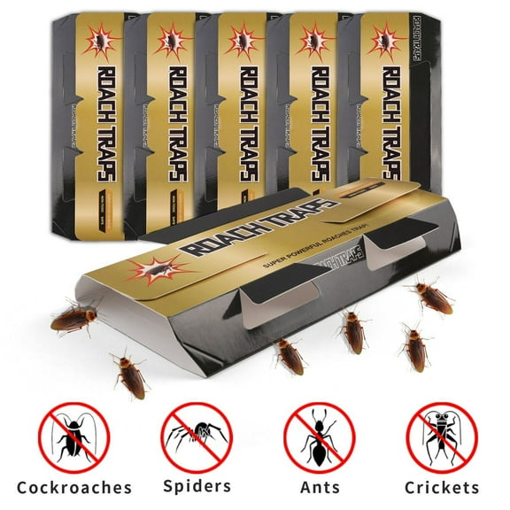 Elegant Choise 35 Pcs Roach Traps Indoor Cockroach Bug Pest Killer Bait Glue Traps Spider Motel