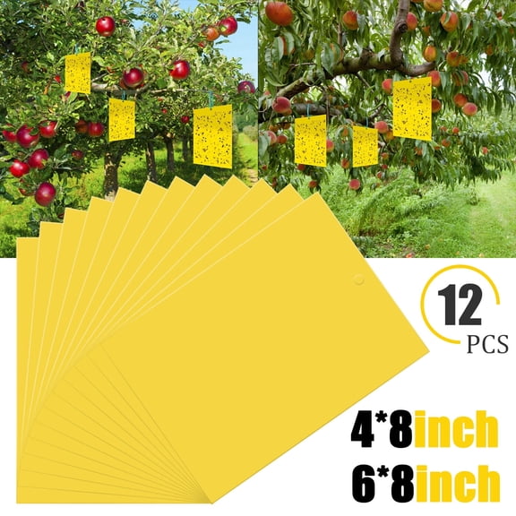 Elegant Choise 36 PCS Sticky Fly Traps Gnat Trap Flies Insect Glue Catcher w/ Hanging Ropes