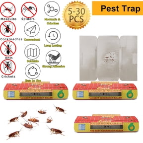 Roach Motels for Household Pest Control