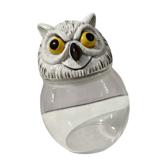 Elegant Clear Glass Condiment Bottles With Owl Head Lid Witch Apothecary Seasoning Jar Canister For Dry Ingredient