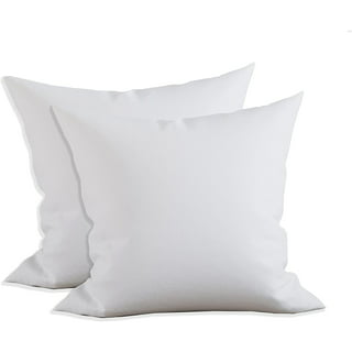 https://i5.walmartimages.com/seo/Elegant-Comfort-12-x-Pillow-Inserts-Set-2-Square-Form-Throw-Poly-Cotton-Shell-Siliconized-Fiber-Filling-Ideal-Couch-Bed-Pillows-inch_bbe5eaff-6491-4d71-910b-1f89511945e7.a1d4ce75c4244d447d5fba906822908e.jpeg?odnHeight=320&odnWidth=320&odnBg=FFFFFF