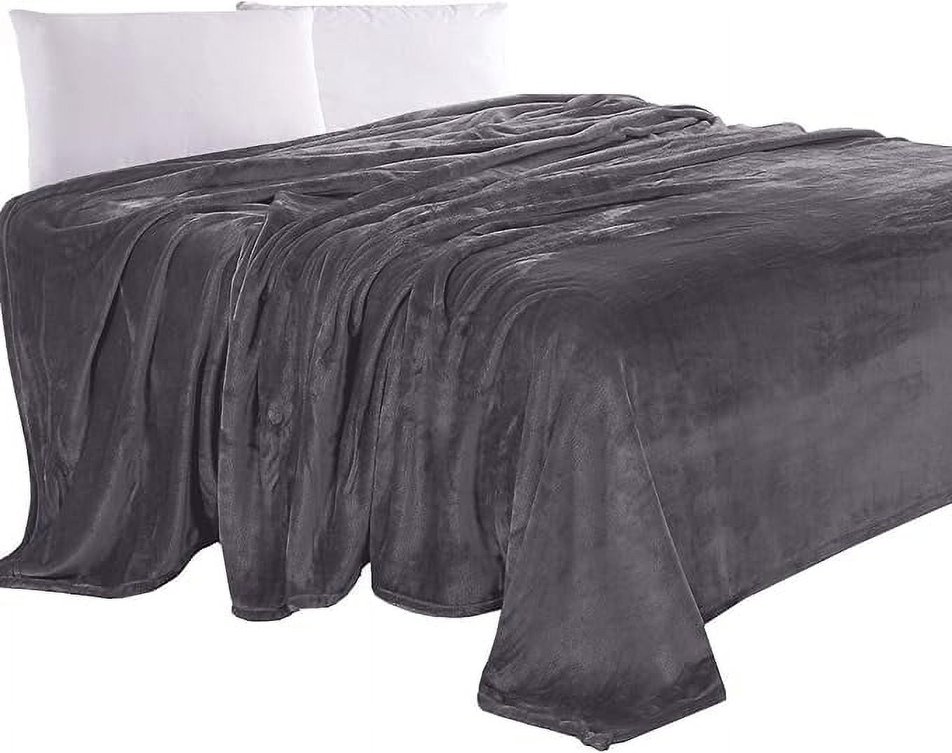 Elegant Comfort Luxury Velvety Feel Blanket, All-Season Lightweight Blanket, Ultra Plush, Soft, Flannel Fleece for Couch, Sofa, Bed, Travel, Solid Design,Twin/Twin XL, Black