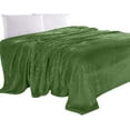 thumbnail image 1 of Elegant Comfort Luxury Velvety Feel Blanket, All-Season Lightweight Blanket, Ultra Plush, Soft, Flannel Fleece for Couch, Sofa, Bed, Travel, Solid Design,Twin/Twin XL, Green, 1 of 5