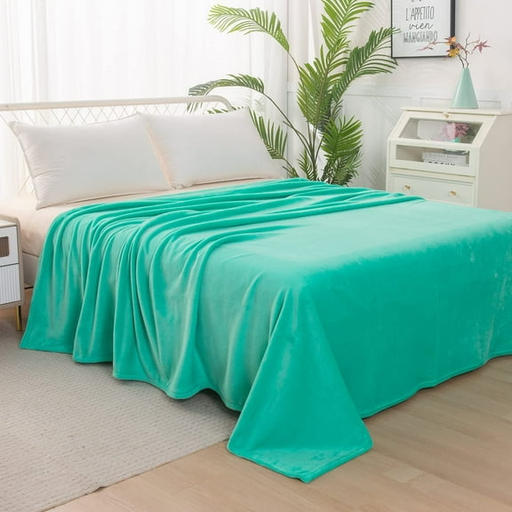 Elegant Comfort Velvety Feel Blanket, All-Season Lightweight Blanket, -Fuzzy Flannel Fleece for Couch, Sofa, Bed, Travel, Solid Design, King/Cali King, Tiffany