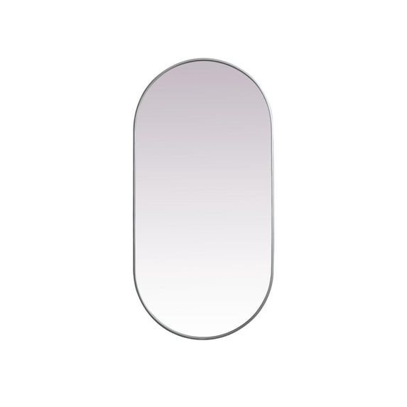 Elegant Decor Metal Frame Oval Mirror 30x60 Inch in Silver