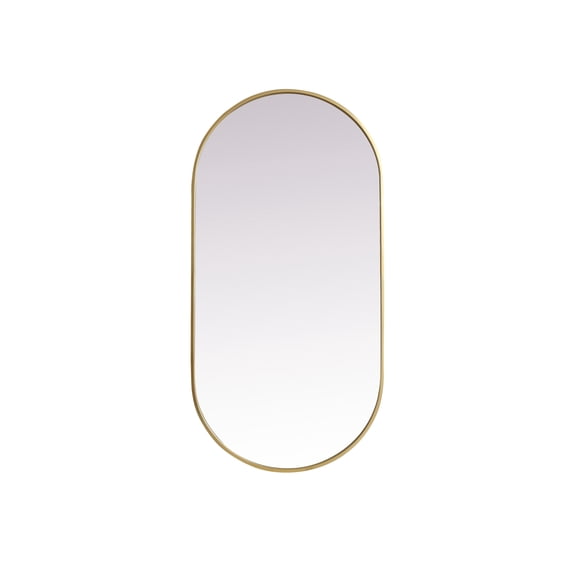 Metal Frame Oval Mirror 24x48 Inch in Brass