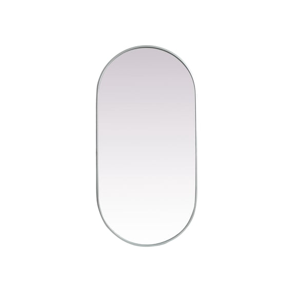 Metal Frame Oval Mirror 24x48 Inch in Silver