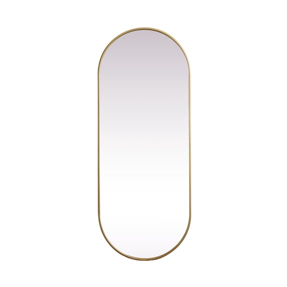 Metal Frame Oval Mirror 24x60 Inch in Brass