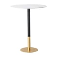 thumbnail image 1 of Elegant Decor Ronan 31.5" Pub Table in White, 1 of 7