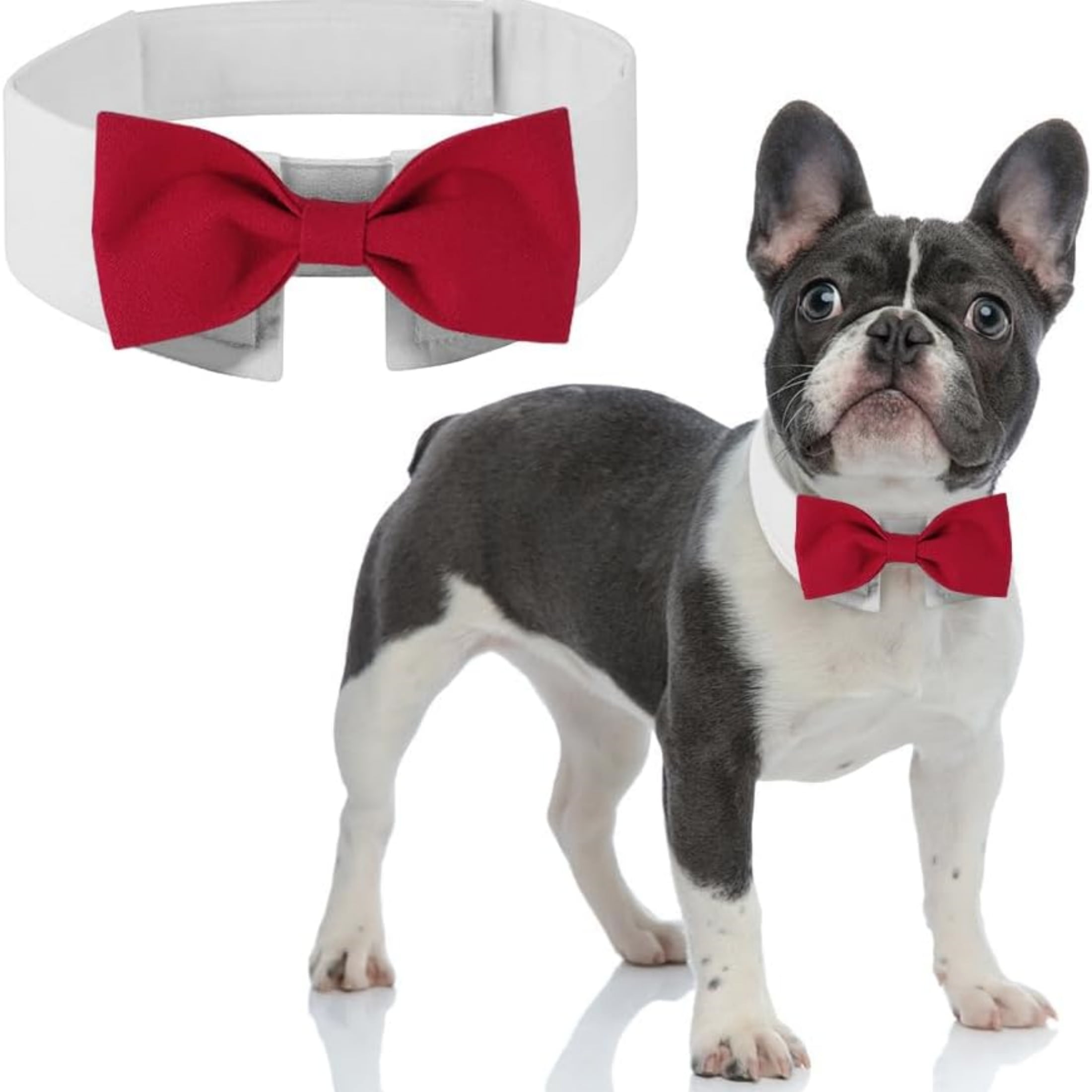 dog valentines bow tie