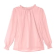 thumbnail image 1 of Elegant Flocked Mesh Ruffle Blouse Long Sleeve Shirt With Elastic Stand Collar Tops For Girls Teenage Party Dress Tween Kids Summer Soft Comfy Cute Basic Tees, 1 of 5