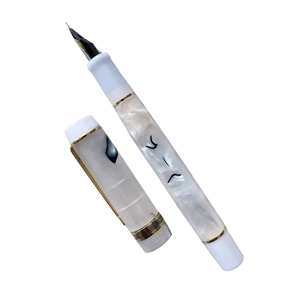 Acrylic Fountain Pen Writing Instrument for Students and Office Professionals