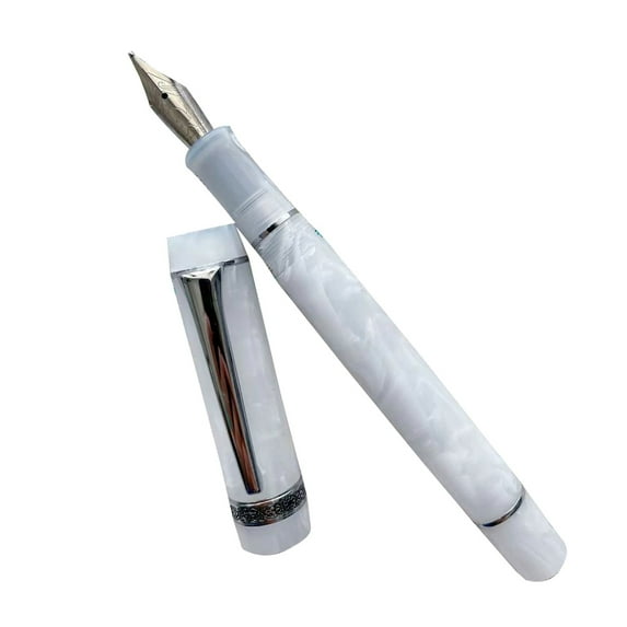 Elegant Fountain Pen Calligraphy Pen Consistent Writing for Men & Women,Professional, Executive, Office, Nice Pens