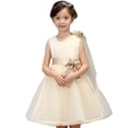 thumbnail image 1 of Elegant Girls Princess Fashion Lovely Princess Summer Dress, Champagne, 1 of 1