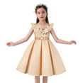 thumbnail image 1 of Elegant Girls' Special Occasion Princess Dresses for Embroidered Dress Girl's Evening Dress Champagne, 1 of 8