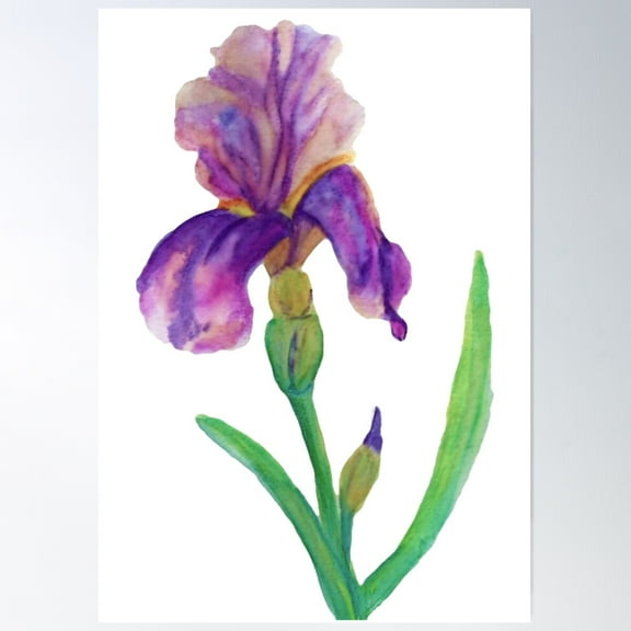 Elegant Iris Watercolor Floral Art Poster Wall Art, Modern Wall Decor For Living Room Bedroom, 8x12 UNFRAMED