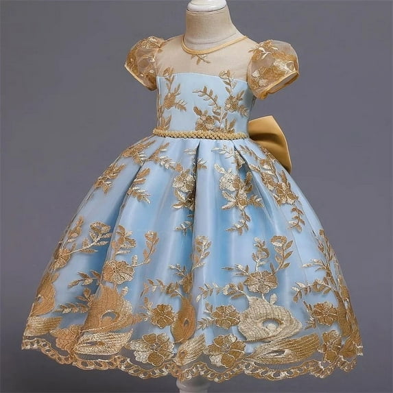 Elegant Lace Embroidery Girl's Dress