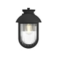 thumbnail image 1 of Elegant Lighting Albert 7" Outdoor Pendant In Black, 1 of 8