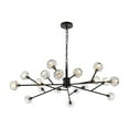 thumbnail image 1 of Elegant Lighting Graham 18 Light Pendant in Black, 1 of 9