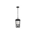 thumbnail image 1 of Elegant Lighting Riggs 8 x 15 inch Outdoor Pendant in Black, 1 of 9