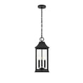 thumbnail image 1 of Elegant Lighting Shepard 8 X 20.5" Outdoor Pendant In Black, 1 of 9