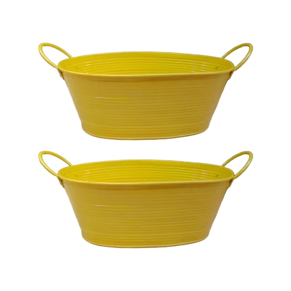 Elegant Oval Flower Planter Bucket Container with Double Handle Suitable For Succulents Plant Home Decoration