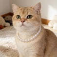 thumbnail image 1 of Elegant Pearl Choker Necklace for with Adjustable Secure Closure for Small Cats and Dogs Pet Jewelry Accessory Delicate Pearl Lightweight and Comfortable Wear, 1 of 3