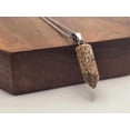 thumbnail image 1 of Elegant Picture Jasper Point Necklace - Silver Tone Unisex, 1 of 7