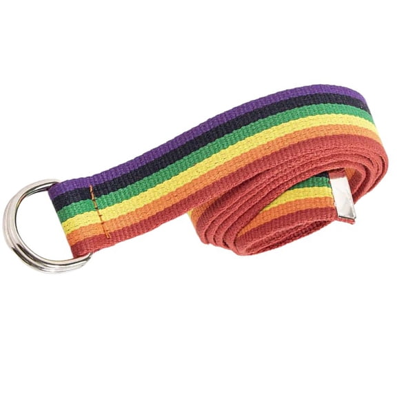 Elegant Rainbow Wide Belt Stylish Outfits Versatile for Fashion Trendsetting Everyday Wear Wide Waistband