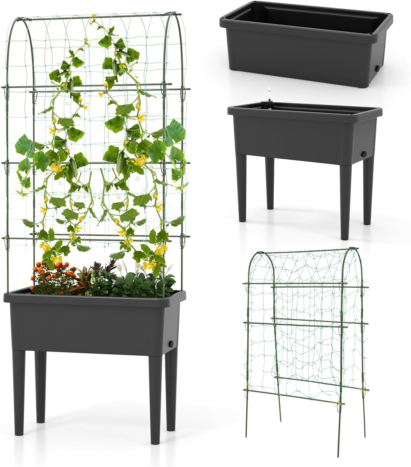 Elegant Raised Garden Bed with Climbing Trellis, Selfwatering Elevated