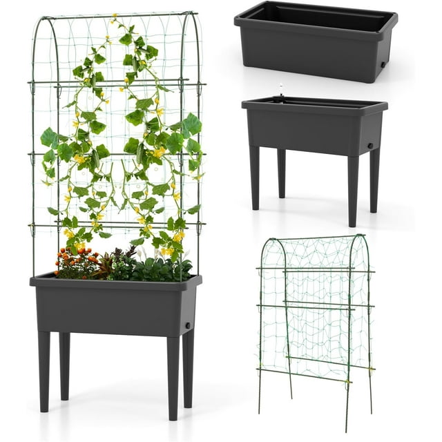 Elegant Raised Garden Bed with Climbing Trellis, Selfwatering Elevated