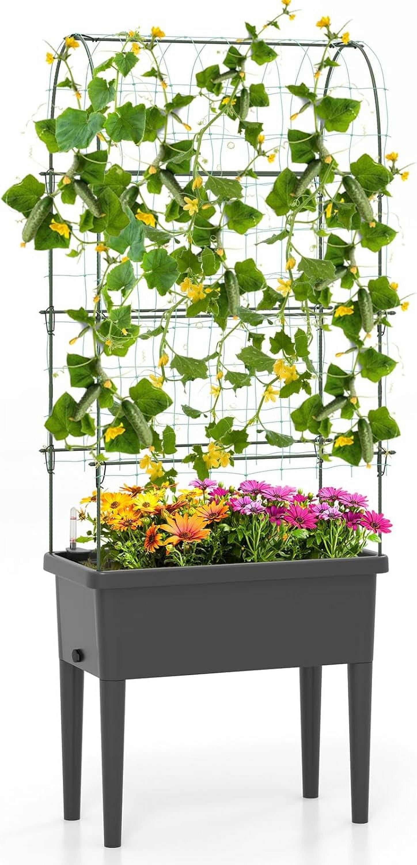 Elegant Raised Garden Bed with Trellis, 4 in 1 SelfWatering Planter w