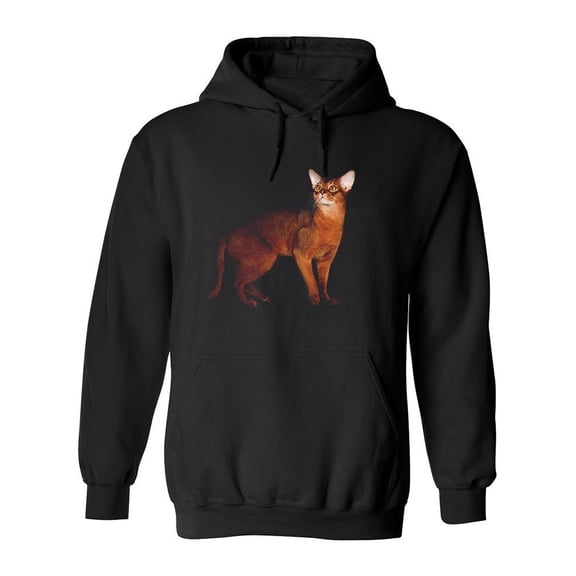 Elegant Red Abyssinian Cat Hoodie Men -Image by Shutterstock, Male Small