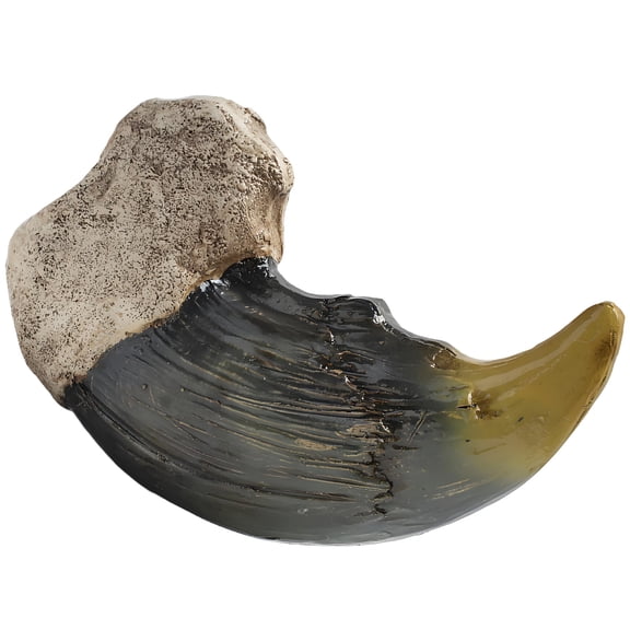 Elegant Resin Sculpture Fossils Replicas Collectible For Desk Display