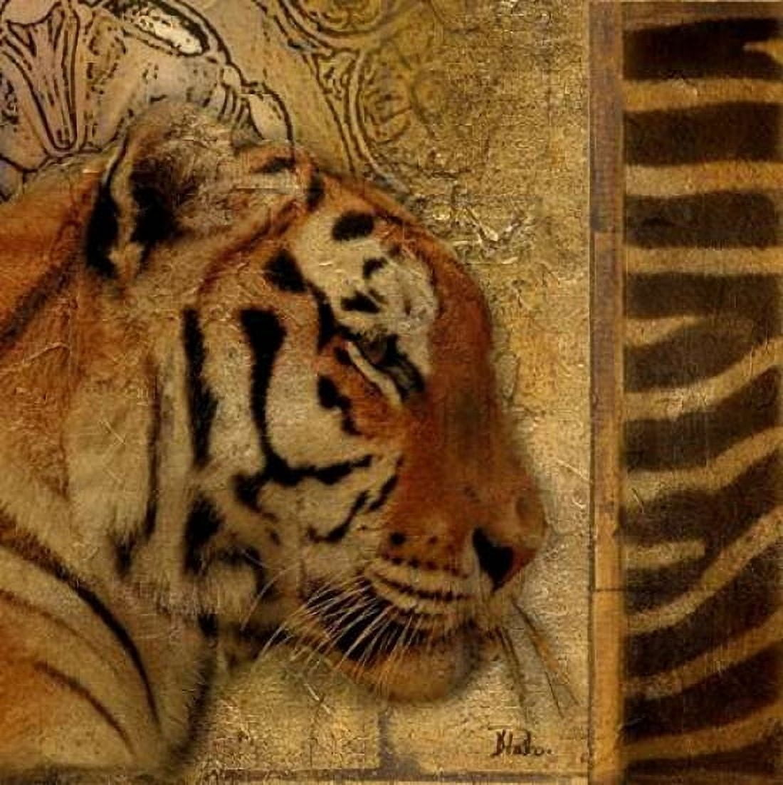 Elegant Safari II - Tiger Canvas Art - Patricia Pinto (24 x 24)