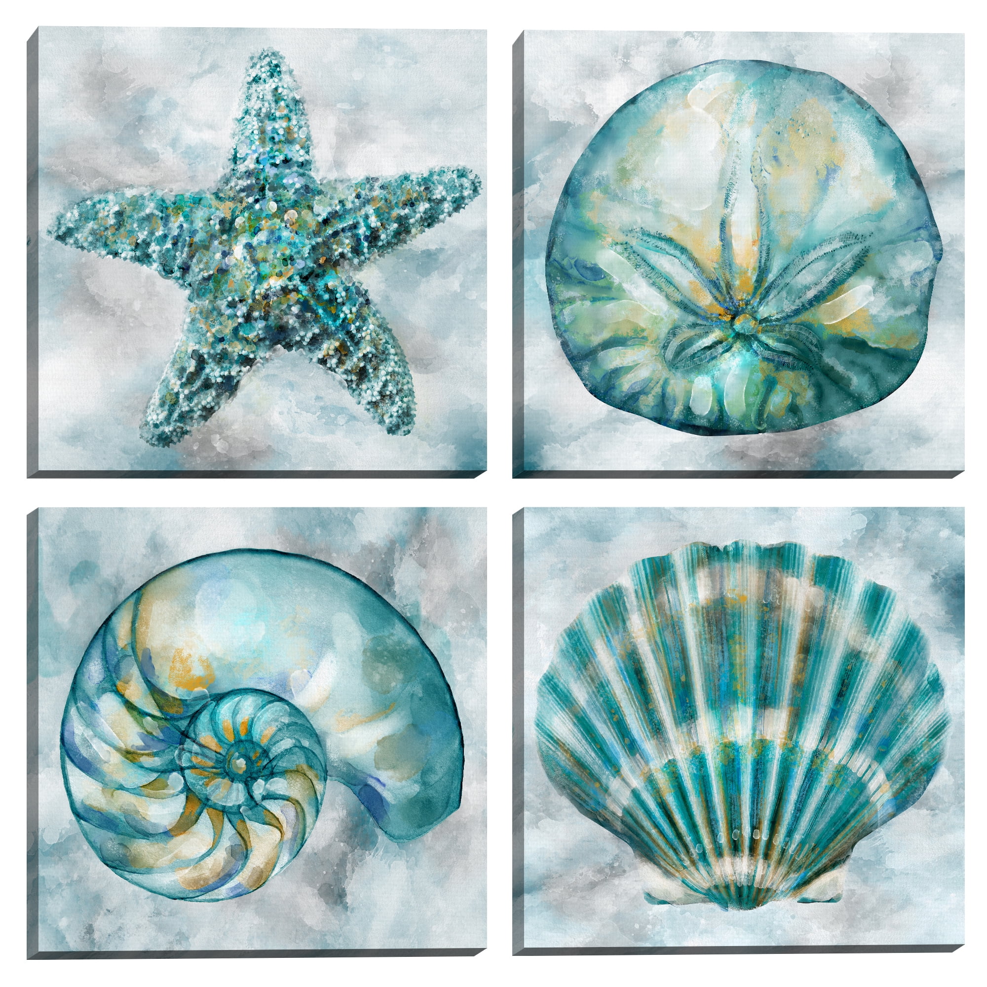 Elegant Shells I, II, III, IV by Studio Arts Set of 4 Canvas Prints