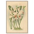 thumbnail image 1 of Elegant Specimen Canvas Print Botanical Art by Art Remedy, Silver Frame, 16 x 24, 1 of 6