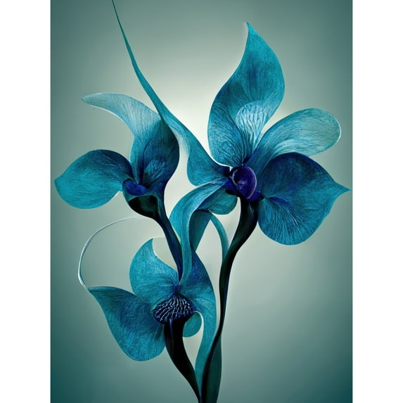 Elegant Teal Blue Orchid Flowers Painting Extra Large XL Wall Art Poster Print