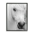 thumbnail image 1 of Elegant White Horse Stallion Animals & Insects Photograph Black Framed Art Print Wall Art, 1 of 7